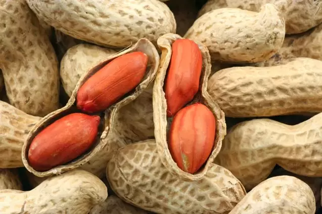 Cacahuetes para a potencia