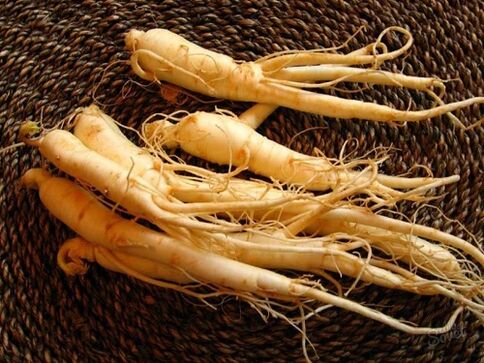 Raíz de ginseng para aumentar a potencia despois de 60