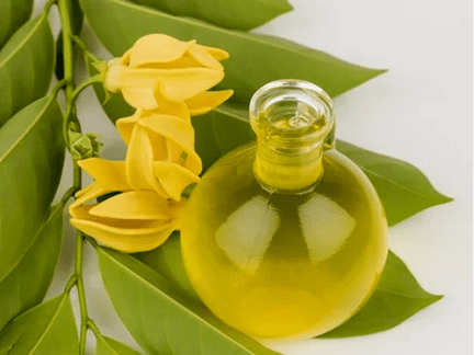 Aromaterapia para mellorar a eficacia